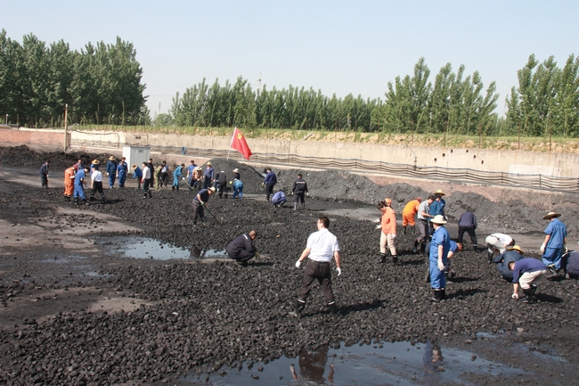 太平煤矿组织科室中层以上干部和党员赴煤场捡矸石