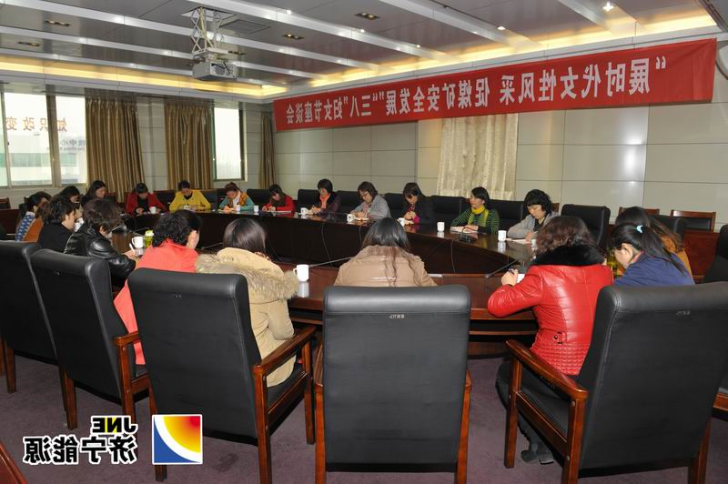 运河煤矿女工委召开座谈会