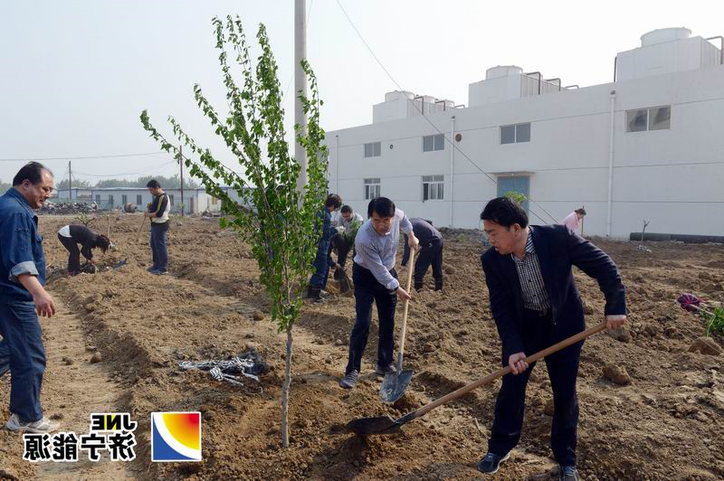 安居煤矿组织义务劳动为矿区绿化做功课