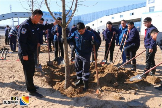 济矿物流公司开展“播种绿色 绿化家园”主题植树活动