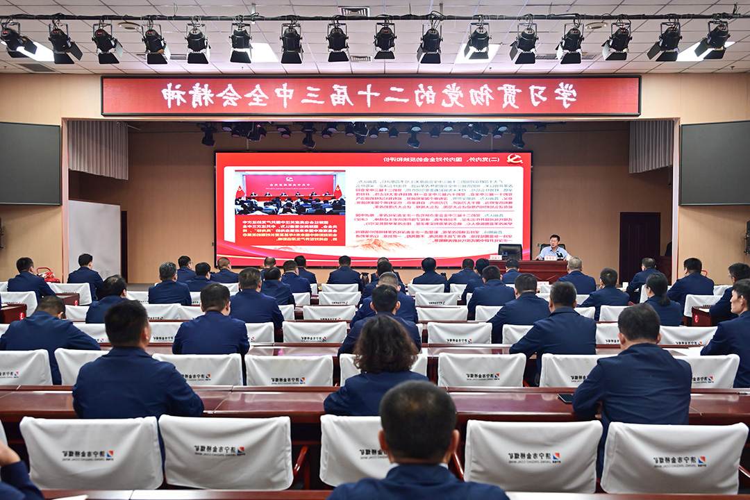 1728698325444733.jpg 0003.jpg