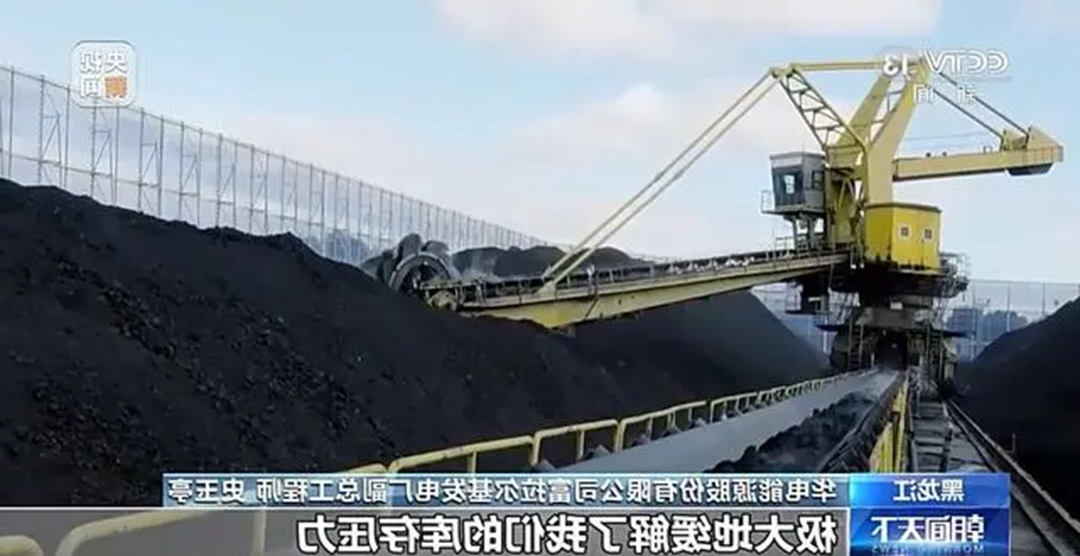 1732860652248293.jpg 0010.jpg