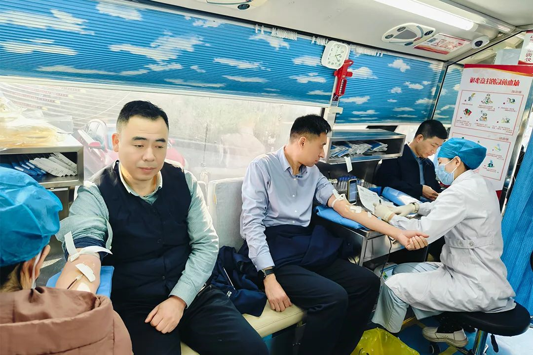 1740294116768461.jpg 0004.jpg