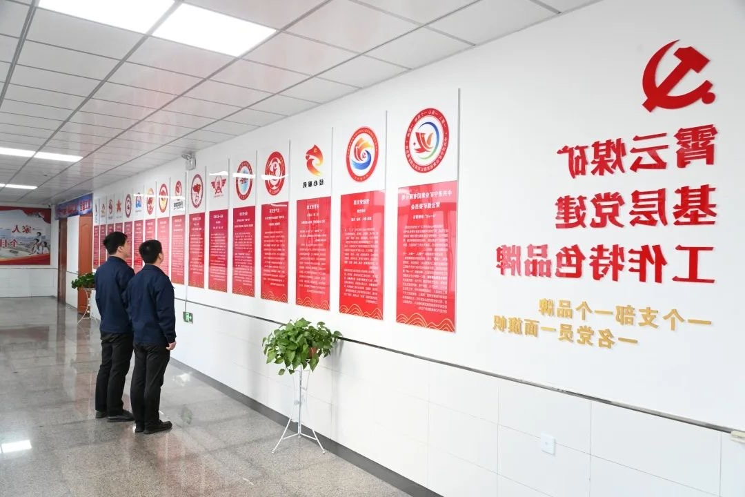 1743738274257674.jpg 党建品牌.jpg