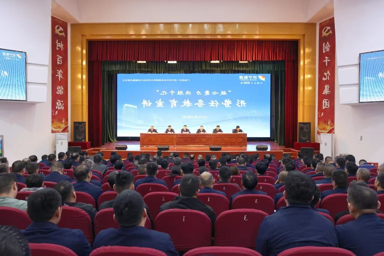 1745392901208144.jpg 11.jpg